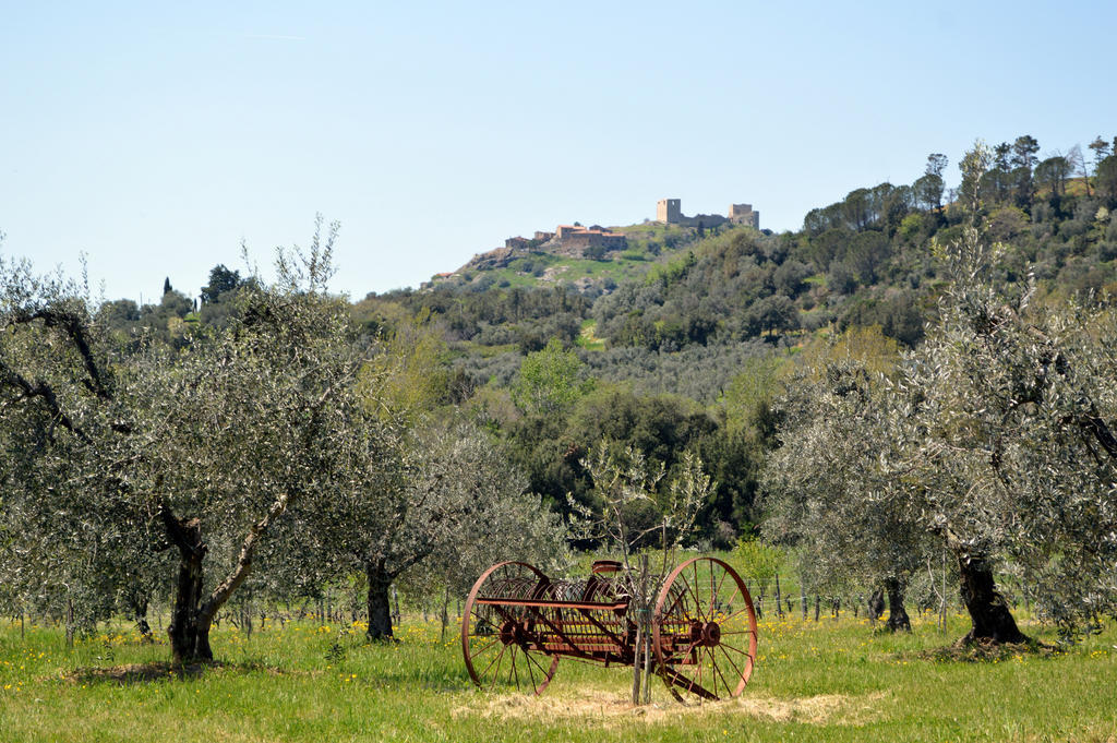 Country House Il Ciliegio Roccatederighi Exterior foto